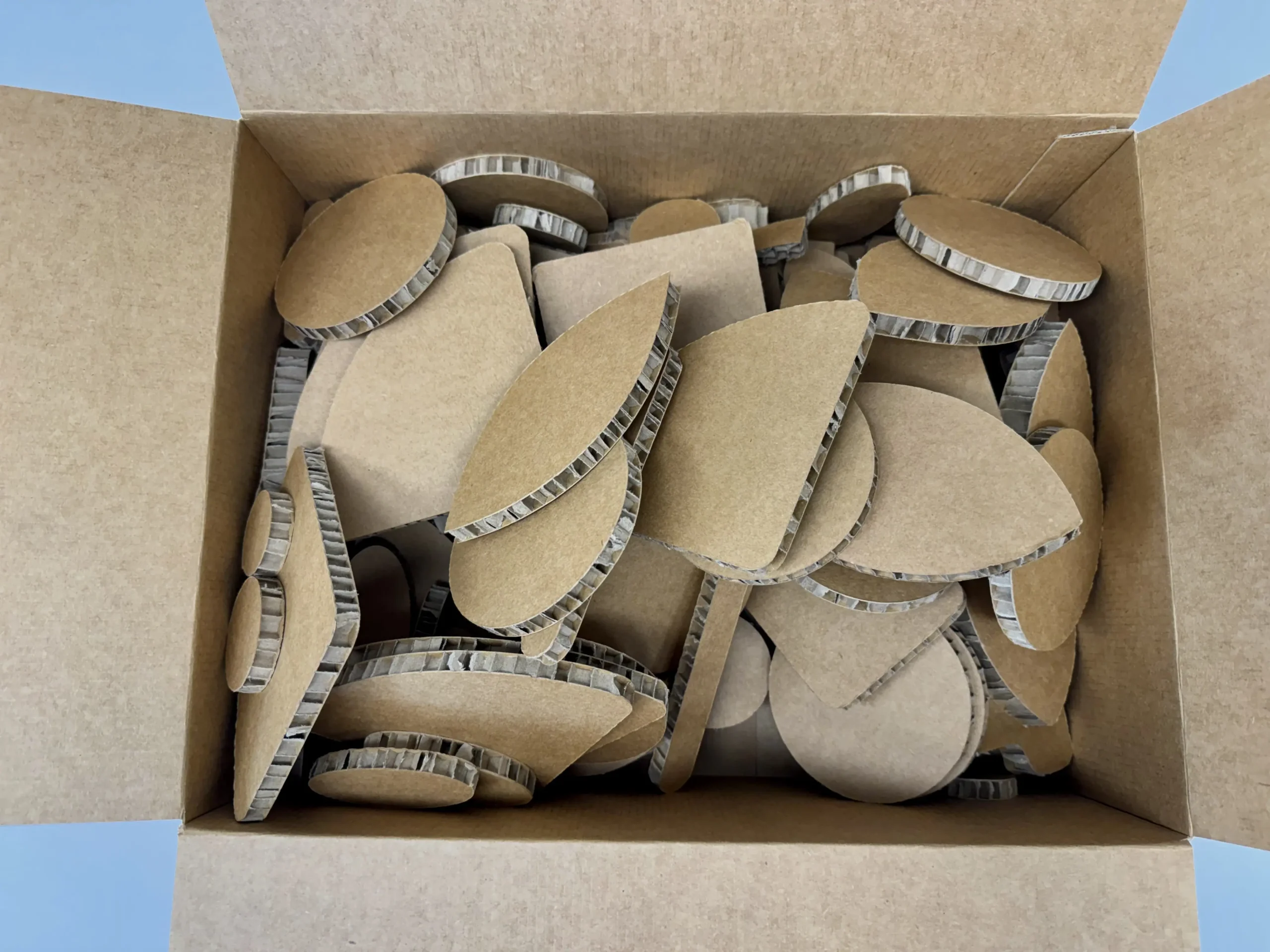 Surprise Pack - Image 3